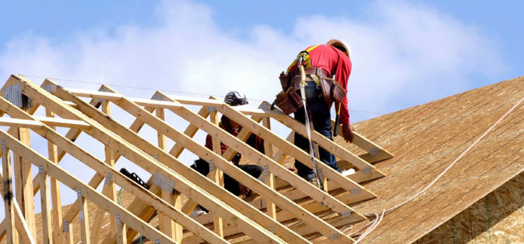 Metal Roof Specialist Venice